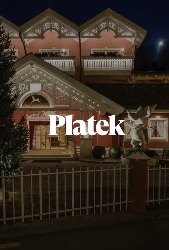 Platek